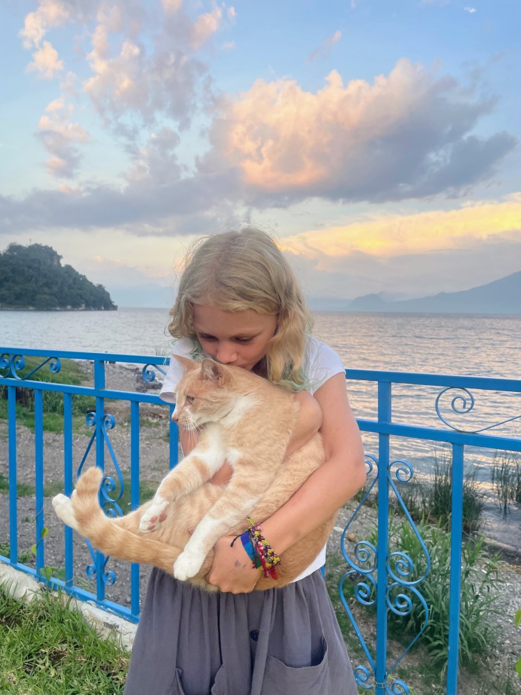 Guest post: Lucy, el&nbsp;gato