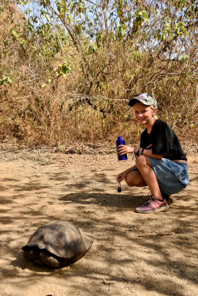 Week 37: Galápagos&nbsp;Islands