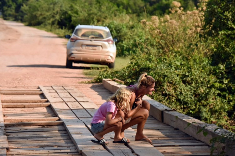 Week 42: The&nbsp;Pantanal